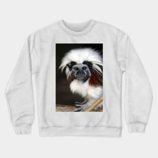 Cotton-top Tamarin Crewneck Sweatshirt